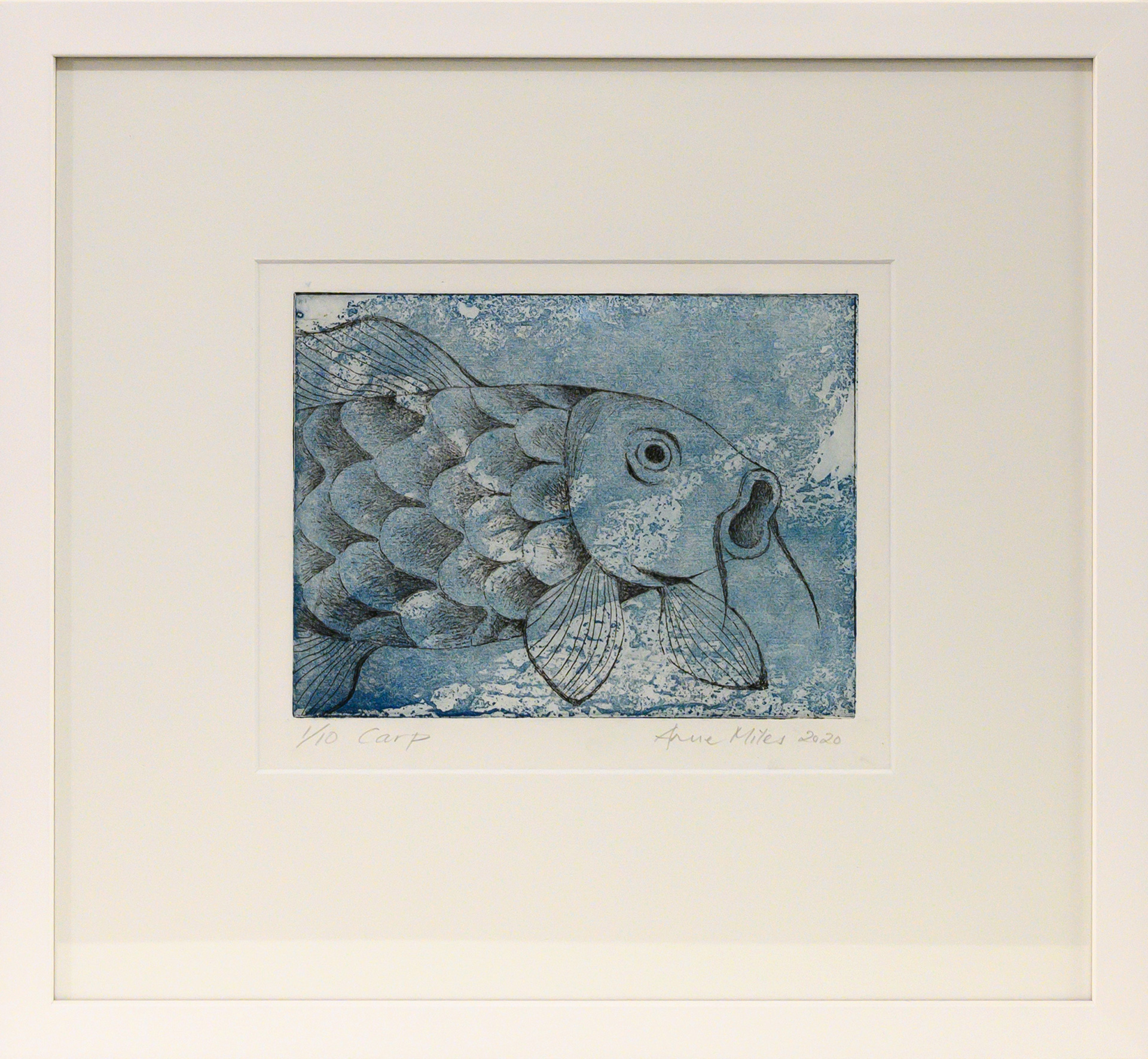 Framed artwork of a black & white Carp over a blue background by Anne Miles