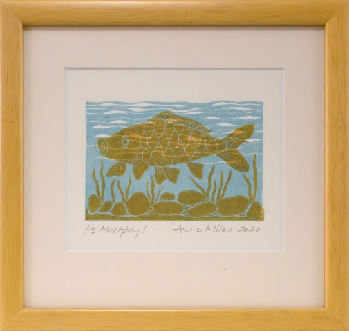 Framed artwork by Anne Miles of a yellow Carp with rocks and weeds in a blue water background