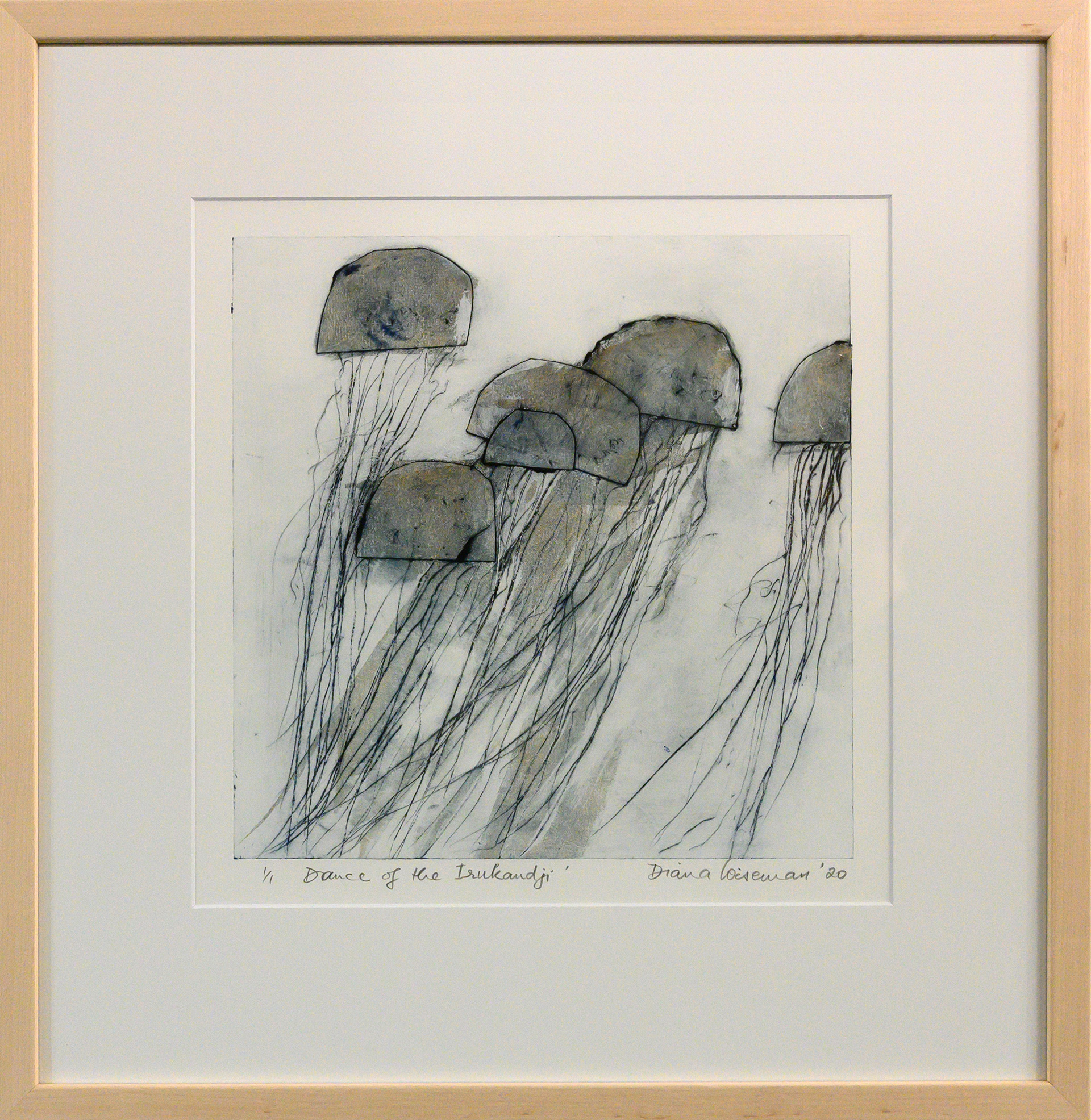 Framed artwork by Diana Wiseman of a group of jellyfish