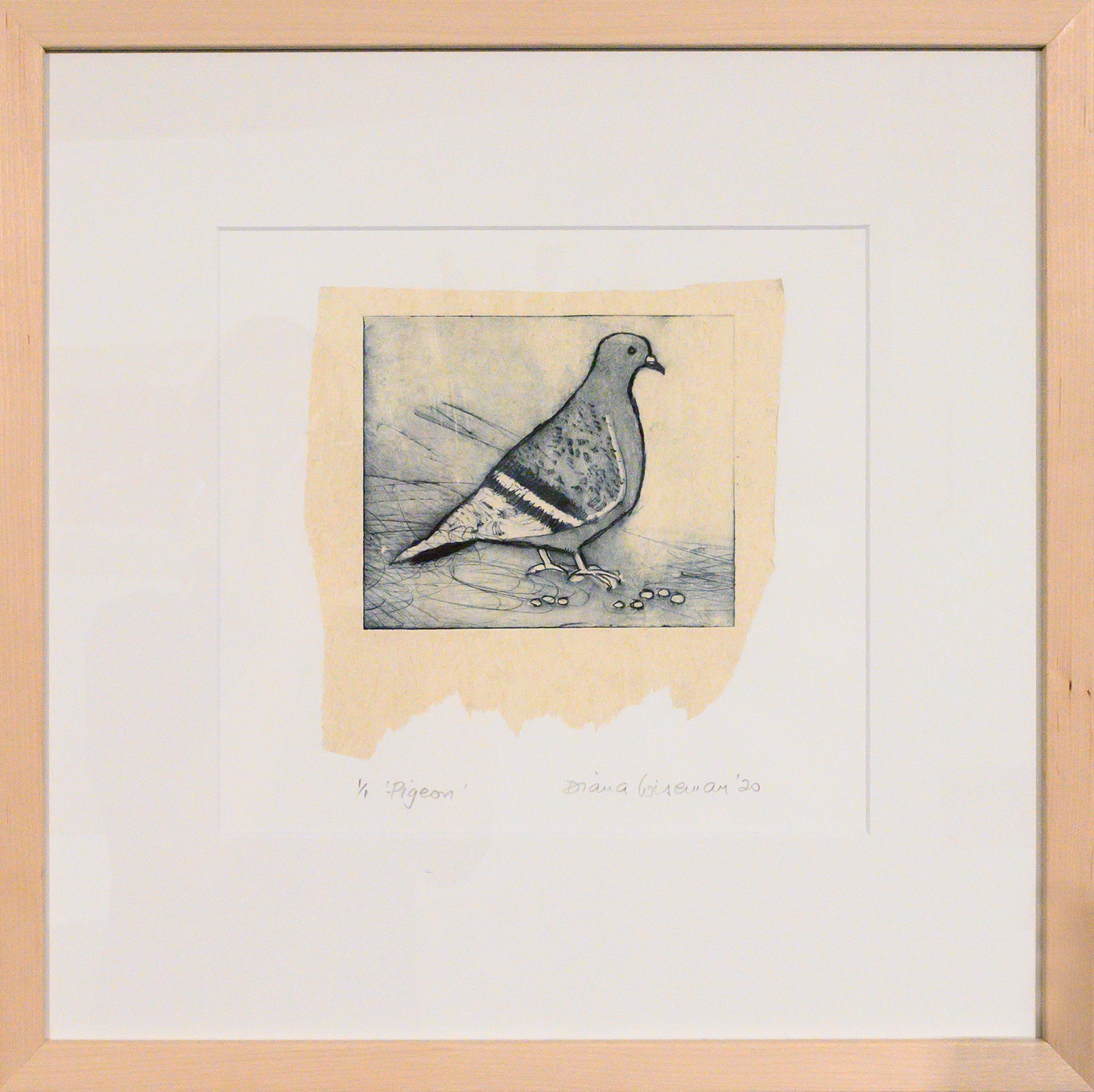 Framed artwork by Diana Wiseman of a pigeon