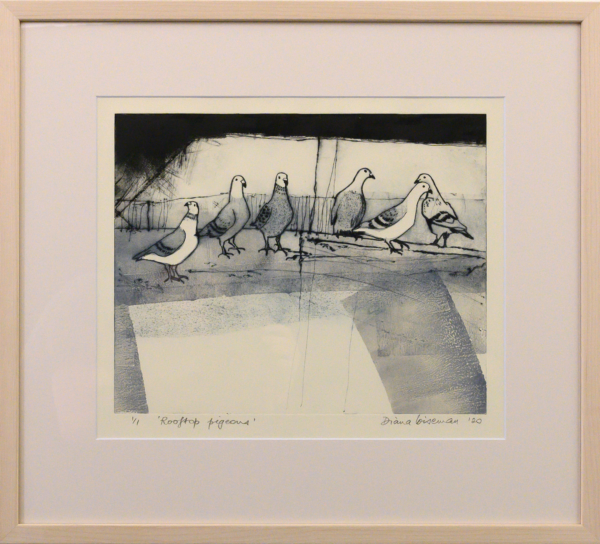 Framed artwork by Diana Wiseman of a group of pigeons