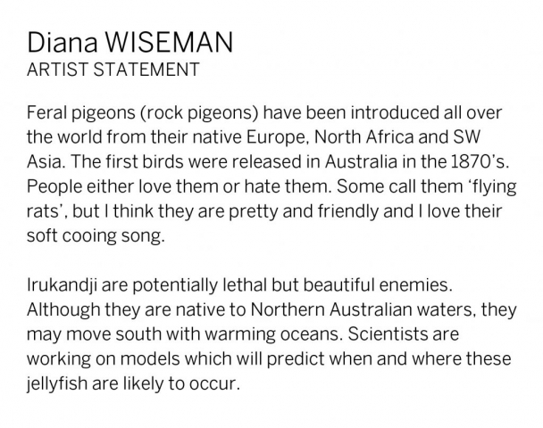 Diana Wiseman Artist Statement