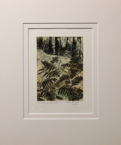 Unframed artwork by Julie Bignell of bracken fern in the foreground, leading to the base of tree trunks in the background