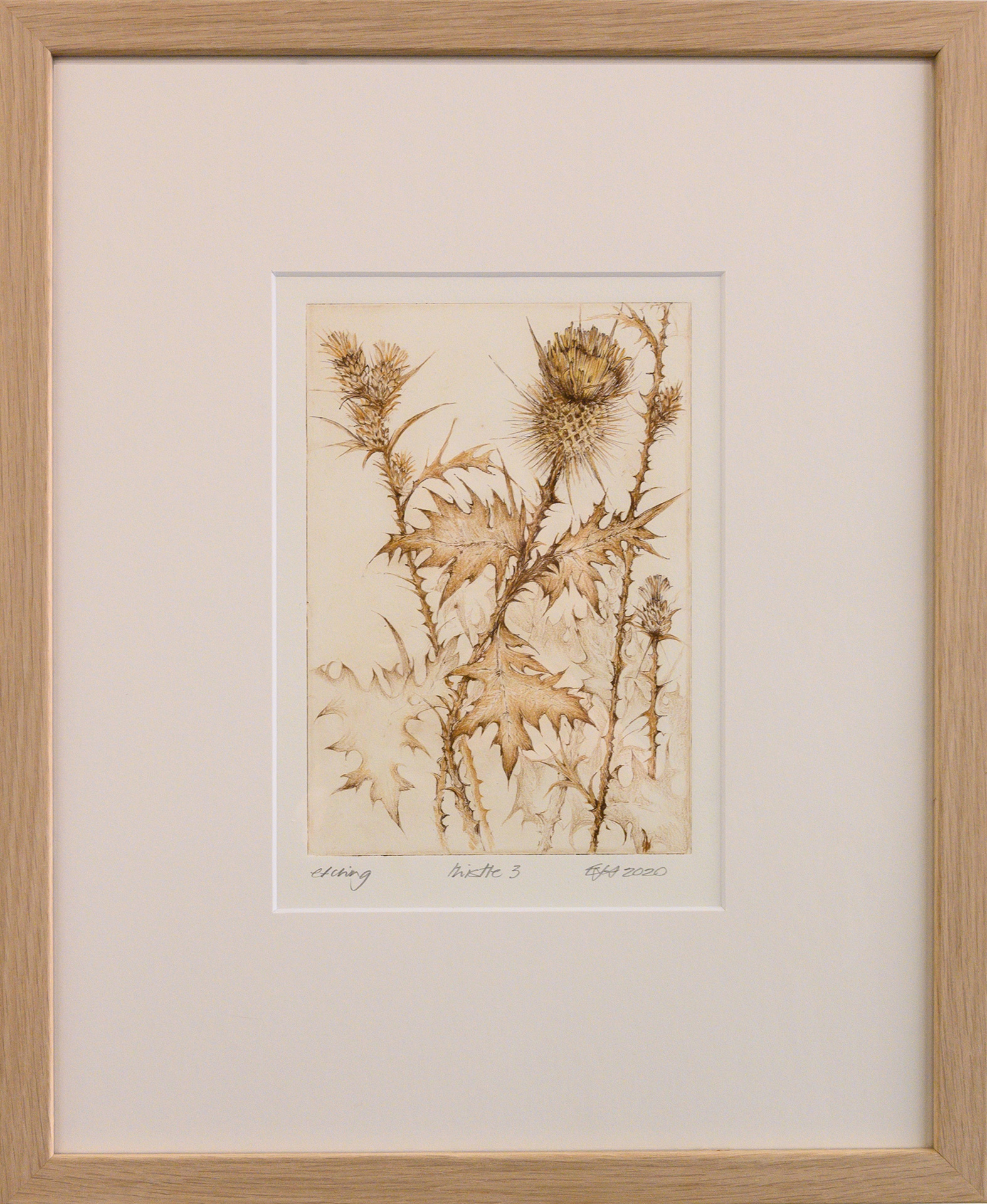 Framed artwork by Libby Altschwager of a brown image of a Scotch Thistle