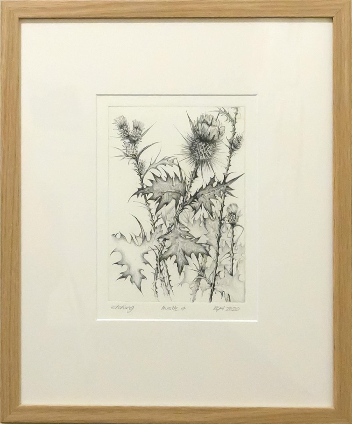 Framed artwork by Libby Altschwager of a b&w image of a Scotch Thistle