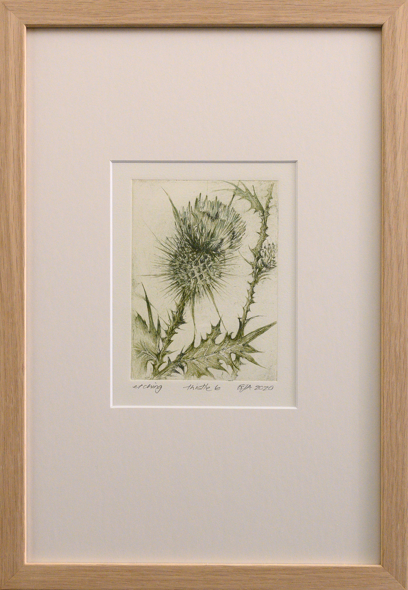Framed artwork by Libby Altschwager of a bottle green image of a close up of a Scotch Thistle