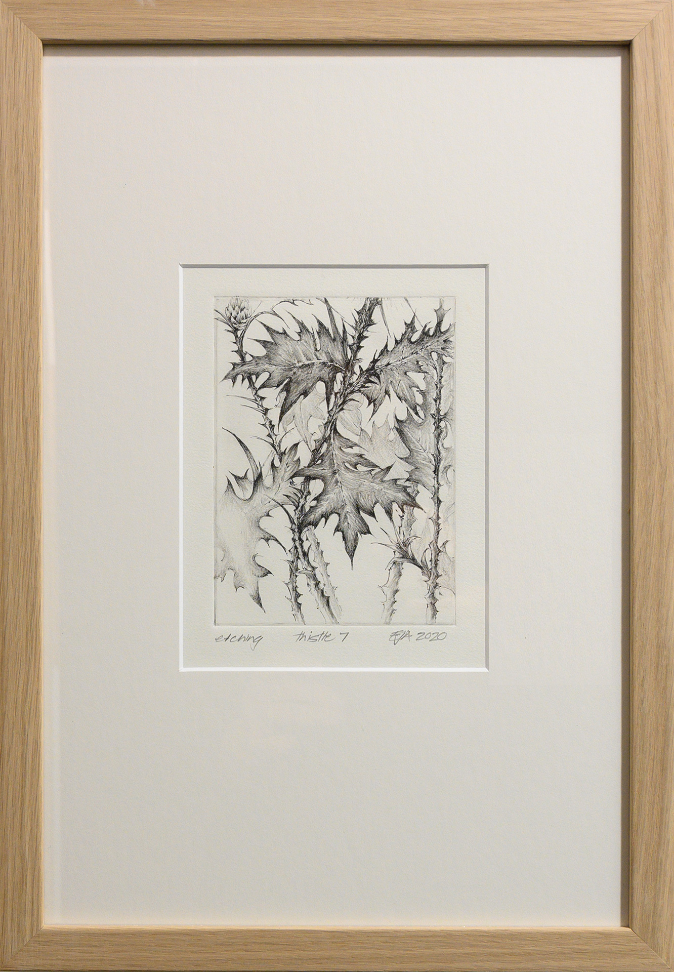 Framed artwork by Libby Altschwager of a b&w image of Scotch Thistle leaves