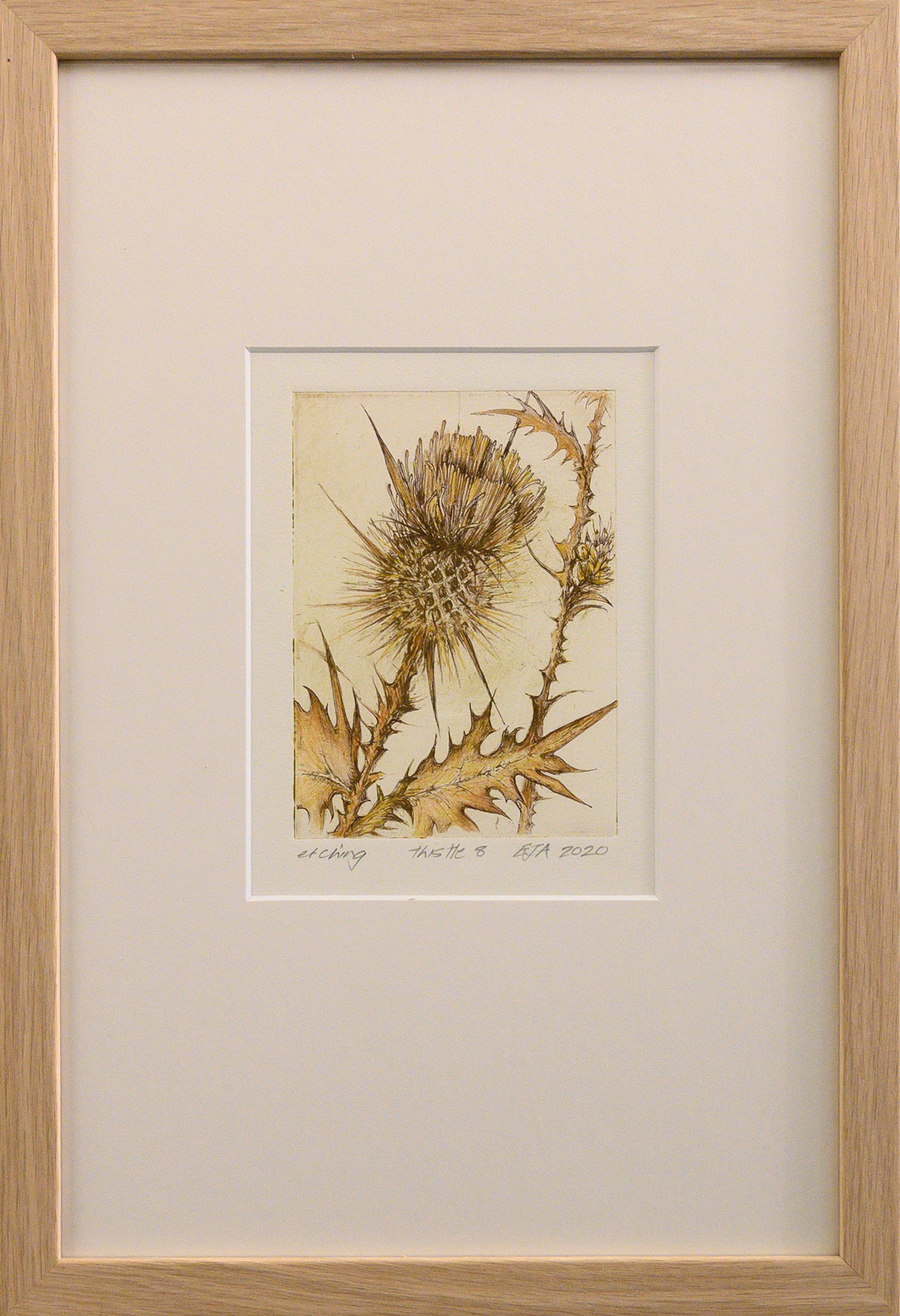 Framed artwork by Libby Altschwager of a close up of a brown Scotch Thistle