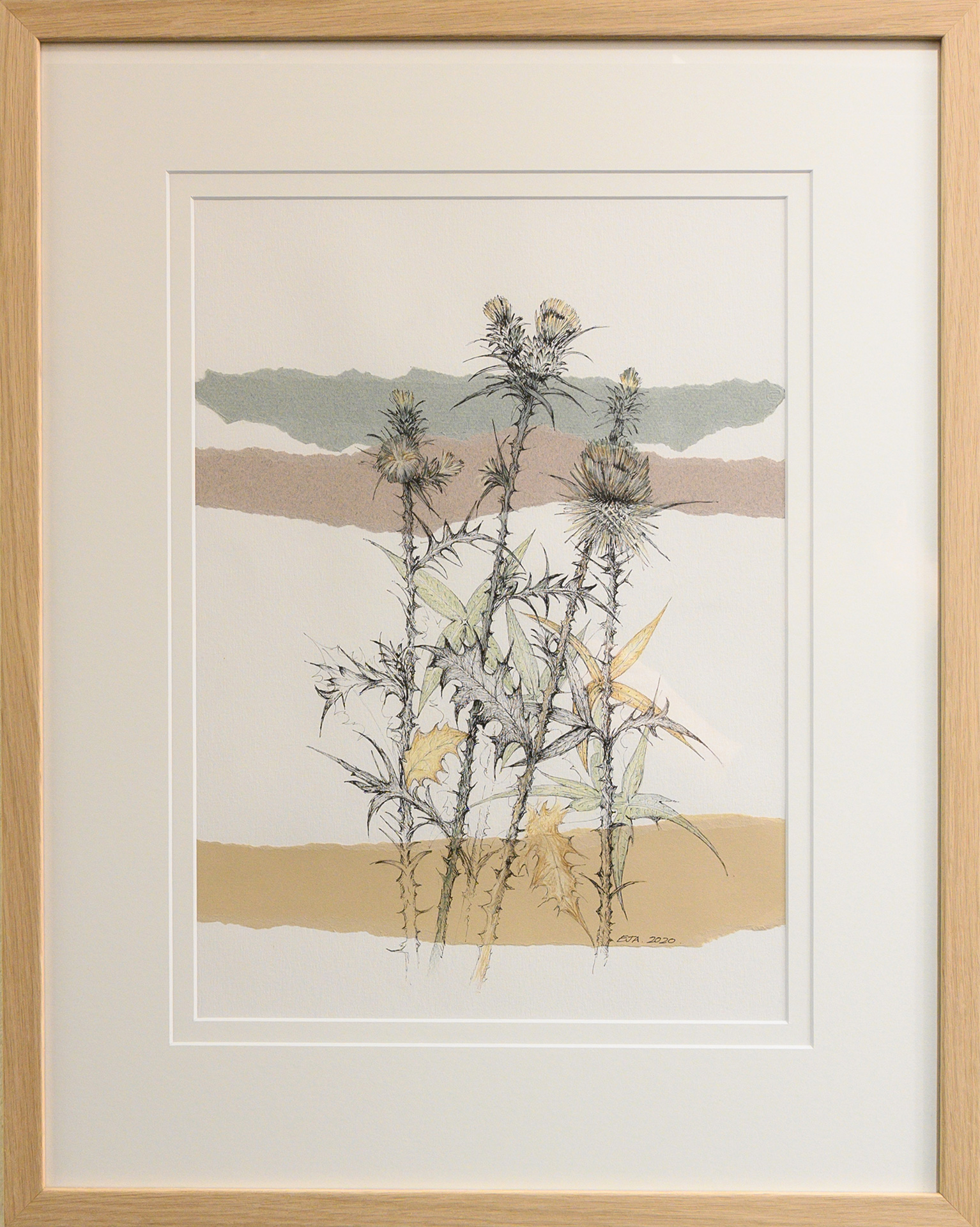 Framed artwork by Libby Altschwager of 3 b&w thistles with sections of green and sepia colour with three coloured strips of paper in the background