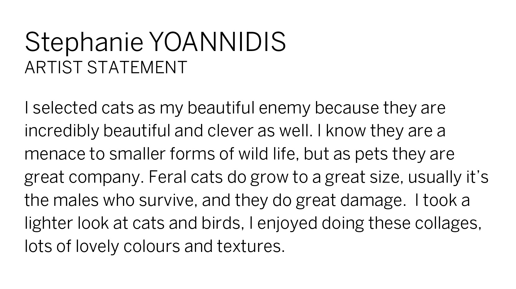 Stephanie Yoannidis Artist Statement