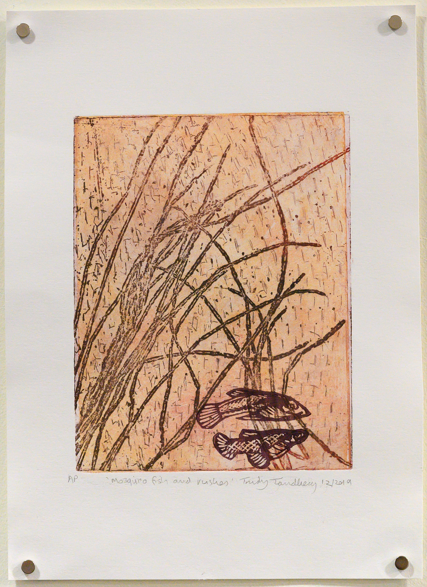Unframed artwork by Trudy Tandberg of 2 small fish in rushes with light orange background