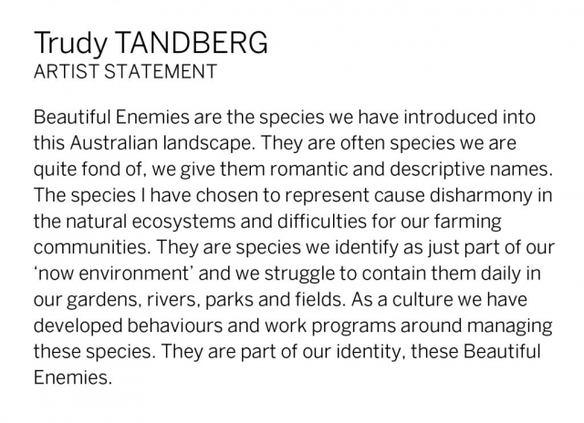 Trudy Tandberg Artist Statement