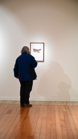 Almost Here, Almost Now exhibition opening